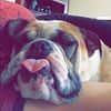 ashley_muench