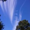onelikethis79