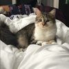 kevcon18