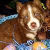 braxton2006
