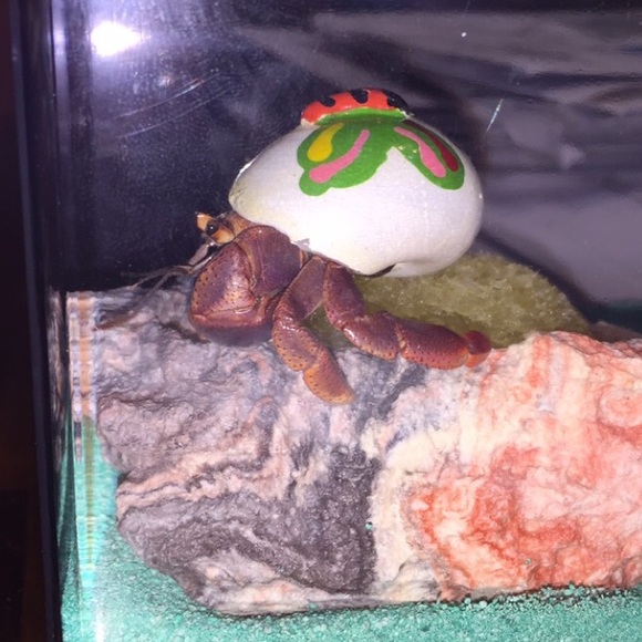 spradlinh