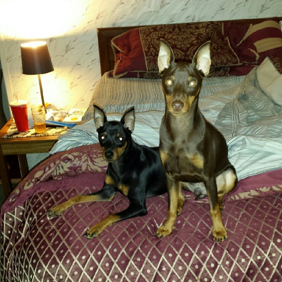 raydenxena