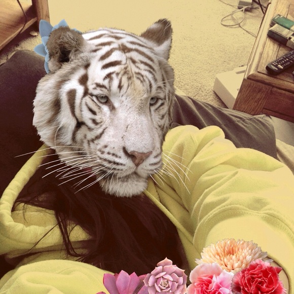 kittykattb88
