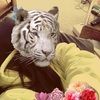 kittykattb88