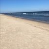 mel_353