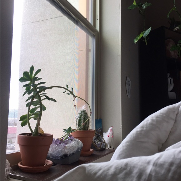 katielopez220