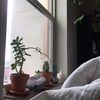 katielopez220