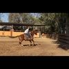 cowgirlup29