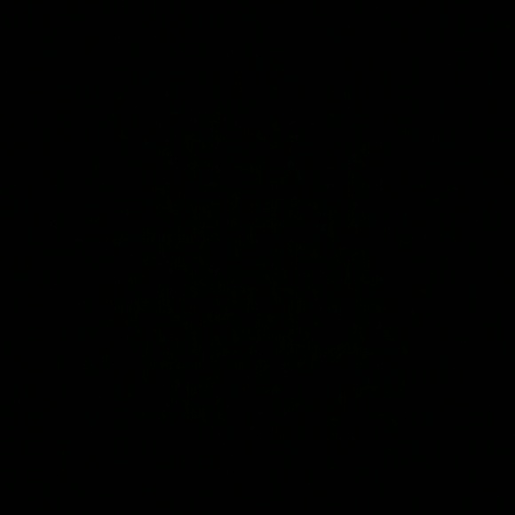vanessa_314