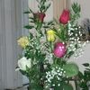 steph_0105