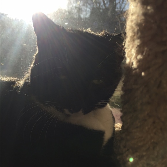 tuxedo1215