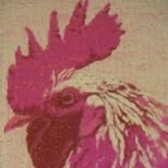 pinkrooster