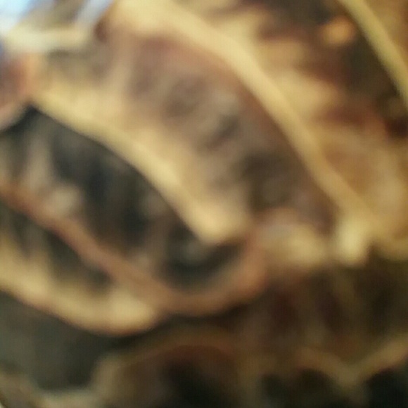 jbpphillips
