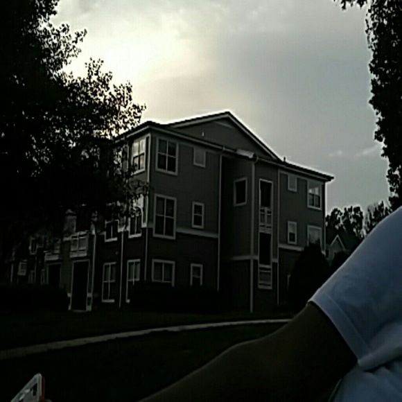 lesbyrd