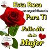 rosvilla