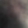 hollen_hunt