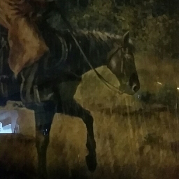 caballo1013