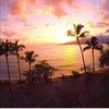 mauiat808