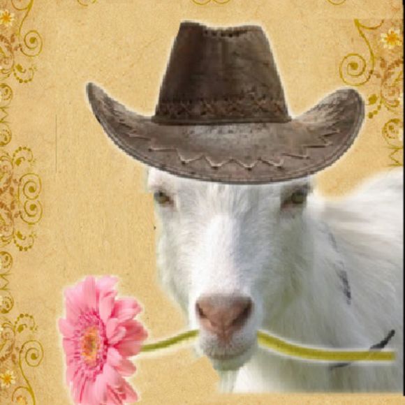 goatsoaplady