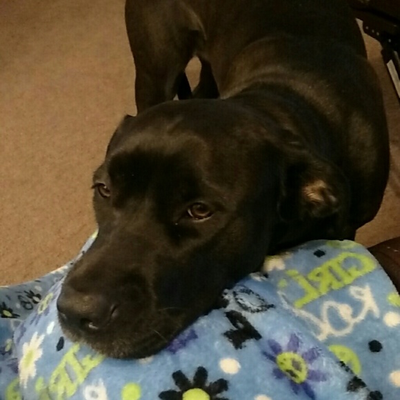 ella_bean