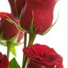 ilovelucky0220