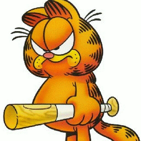 bipipol