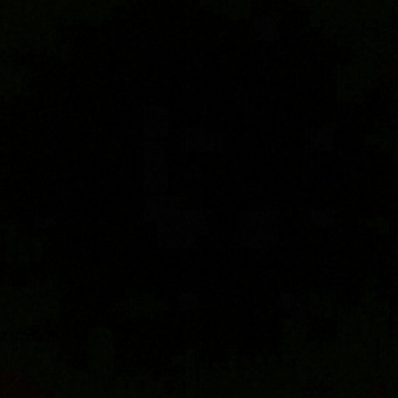 robinsd7
