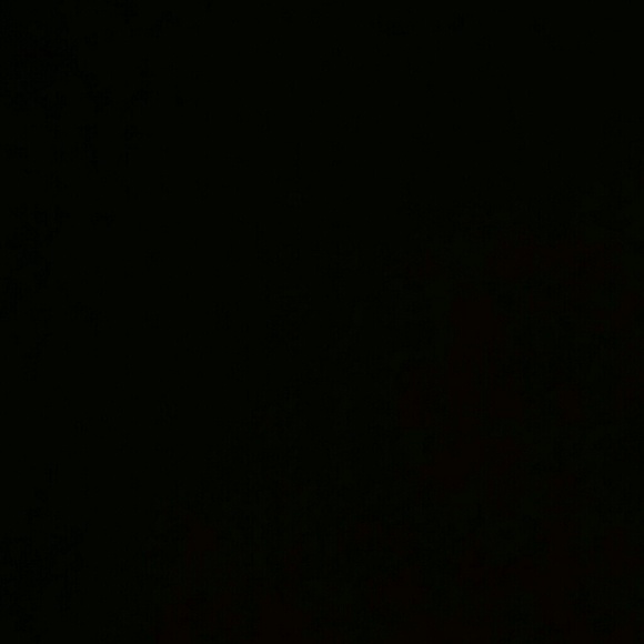shedp