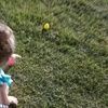 lynja