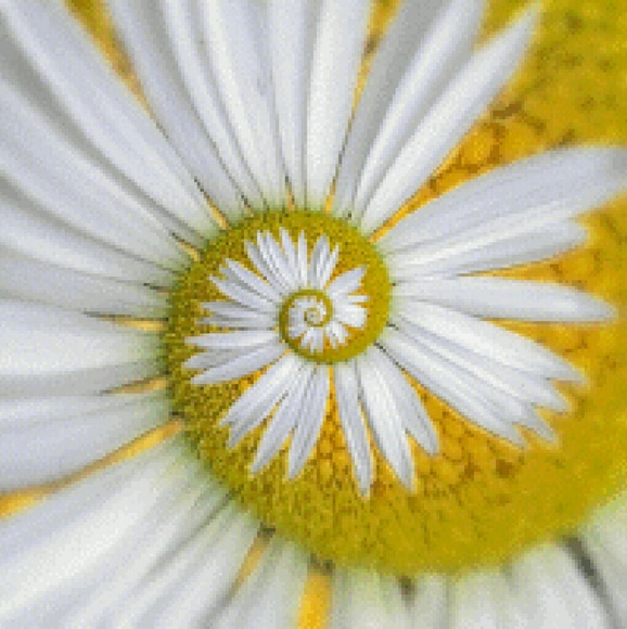 itzmenikki
