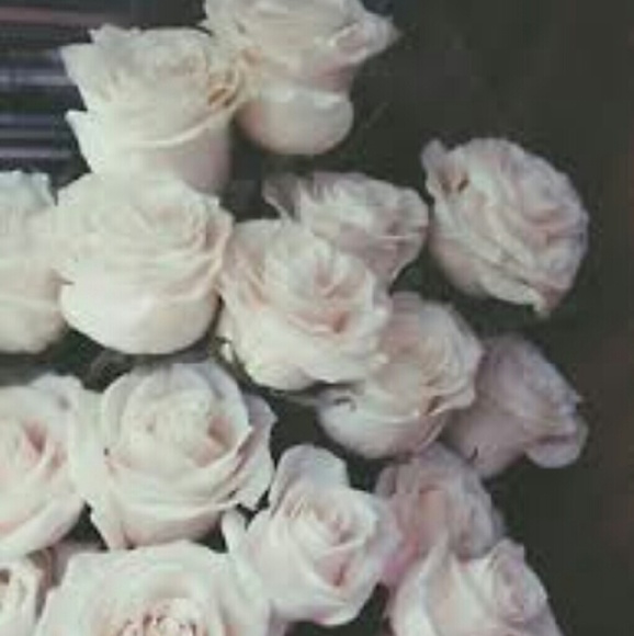 jessica_m1738