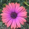 eilsel02