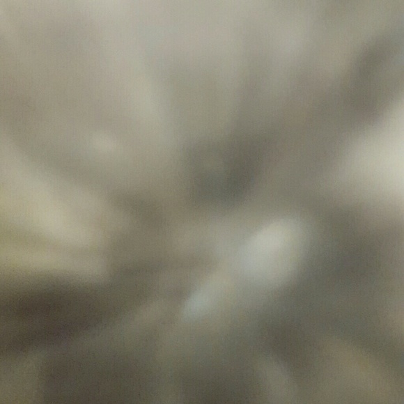 mcassaro3