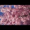 alicia_821