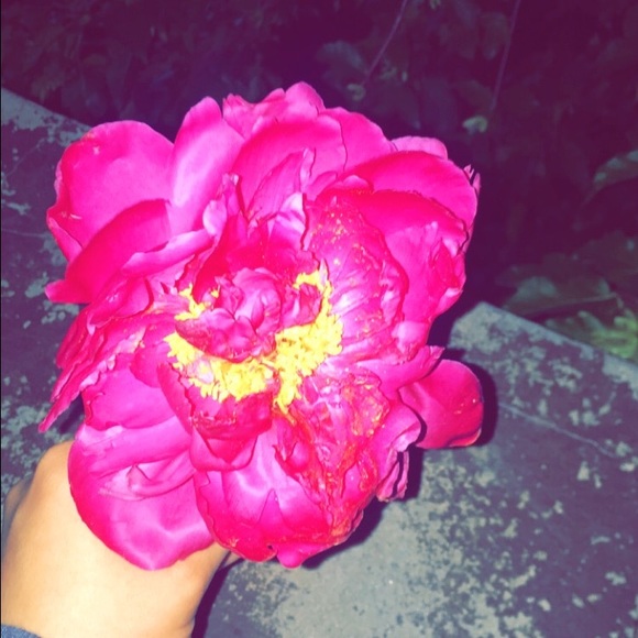 mariah_summer