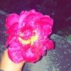 mariah_summer