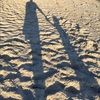 leesbeach