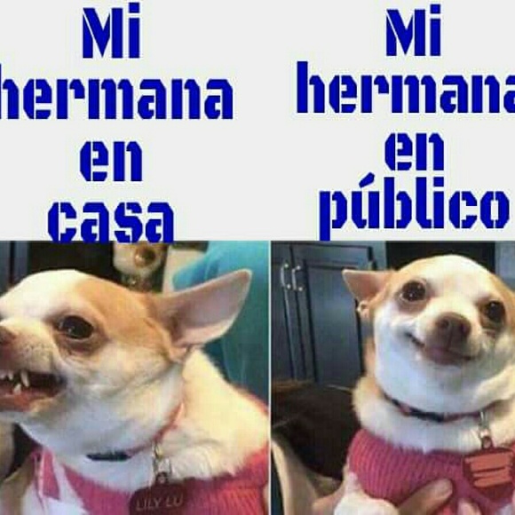 sirenita2019