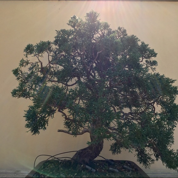 yutong_wu5