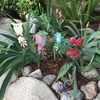 glomaria