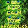 peacock5683