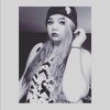 court_wilson97
