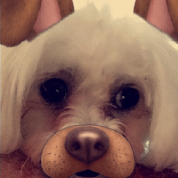 emily_a8