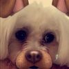 emily_a8