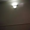 veevee123456789