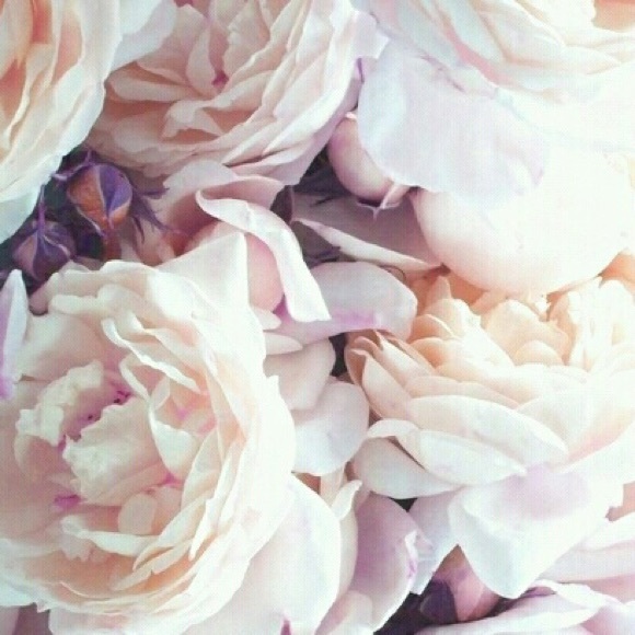 sweeteuriah