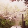 autumn19792002