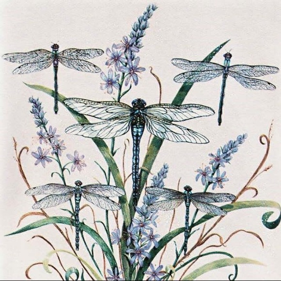 dragonfly102