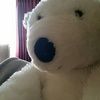 bear_cub