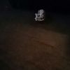 spartyman89